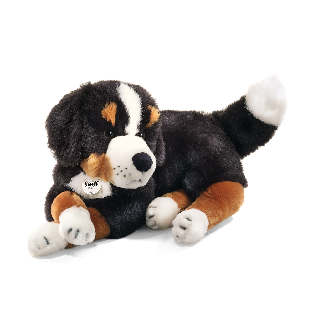 Steiff wճ}: Senni Bernese Mountain dog